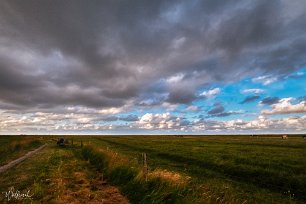 20190709-DSCF5958 AuroraHDR2019-edit-Bearbeitet