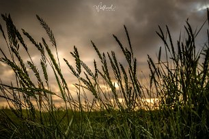 20190709-DSCF5986-wutfrosch.de
