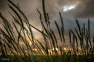 20190709-DSCF5987