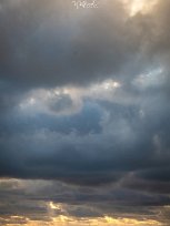 20190709-DSCF6011-wutfrosch.de-2