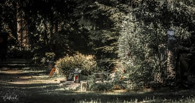 20190515-DSCF3513