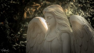 20190515-DSCF3532