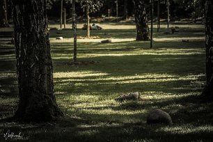 20190515-DSCF3542