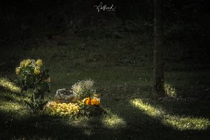 20190515-DSCF3543-wutfrosch.de