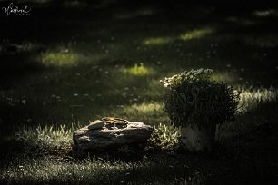20190515-DSCF3544