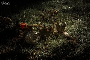 20190515-DSCF3548