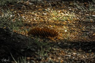 20190515-DSCF3562
