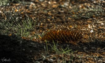 20190515-DSCF3563-2