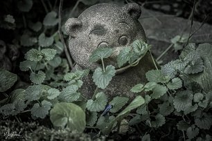 20190515-DSCF3575